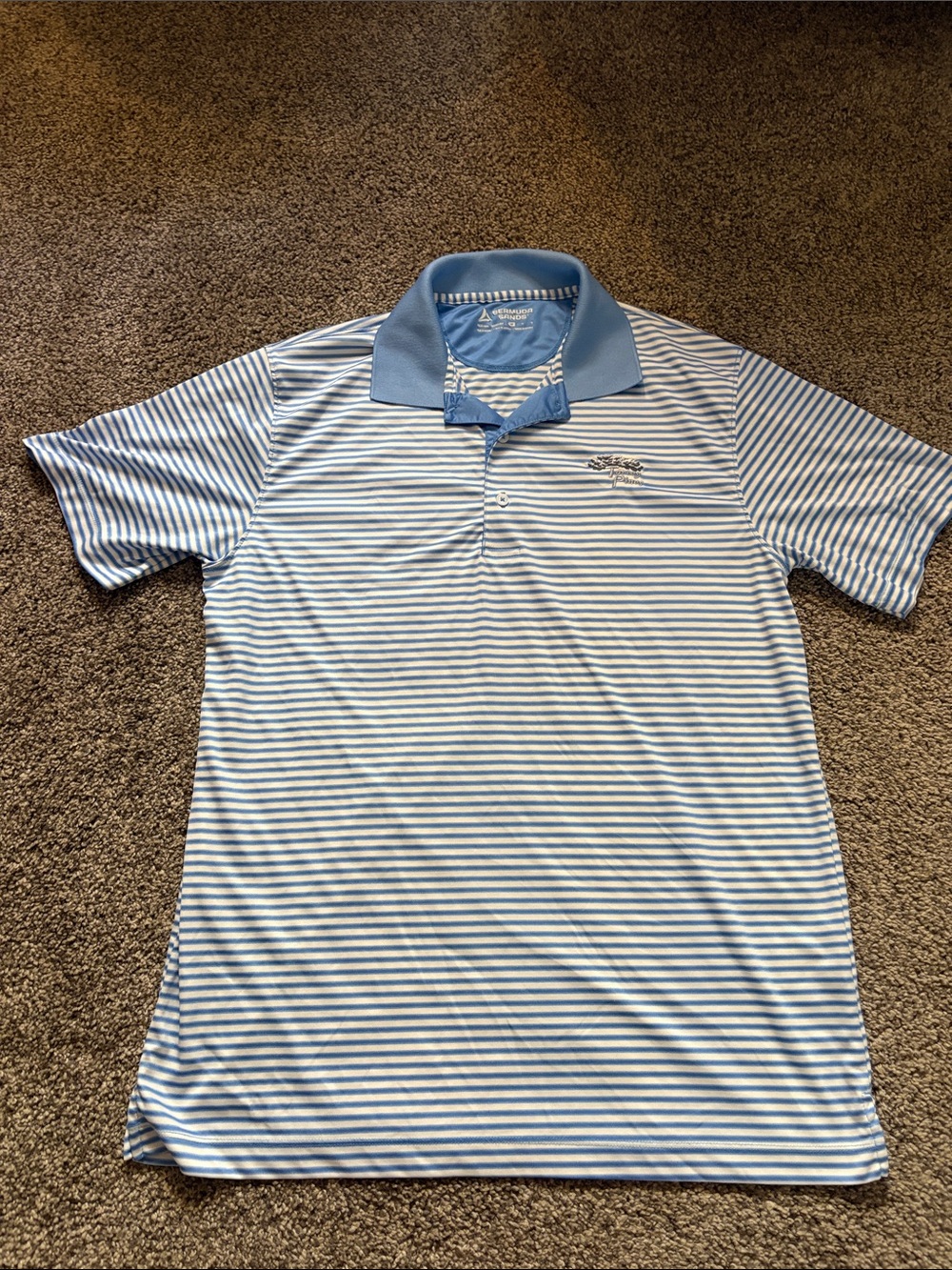 Men's Torrey Pines Light Blue & White Striped Polo Shirt - Performance Golf Polo